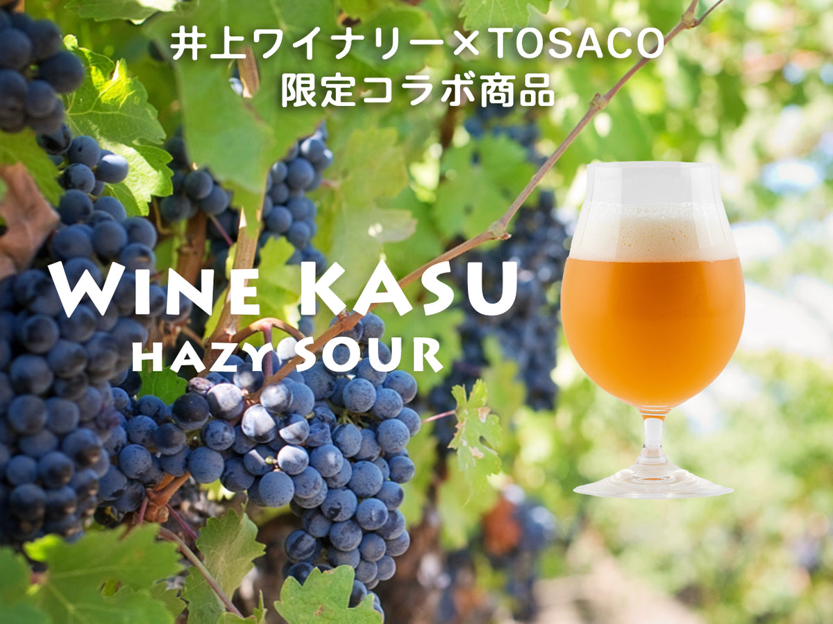 【期間限定】ワイン粕ヘイジーサワー