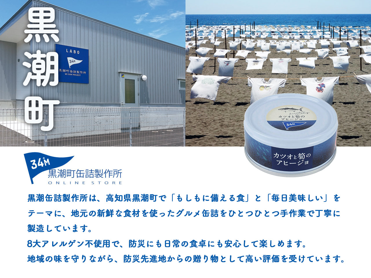 高知の恵み お魚＆ビールセット - 大切な方へ安心と美味しさを贈る
