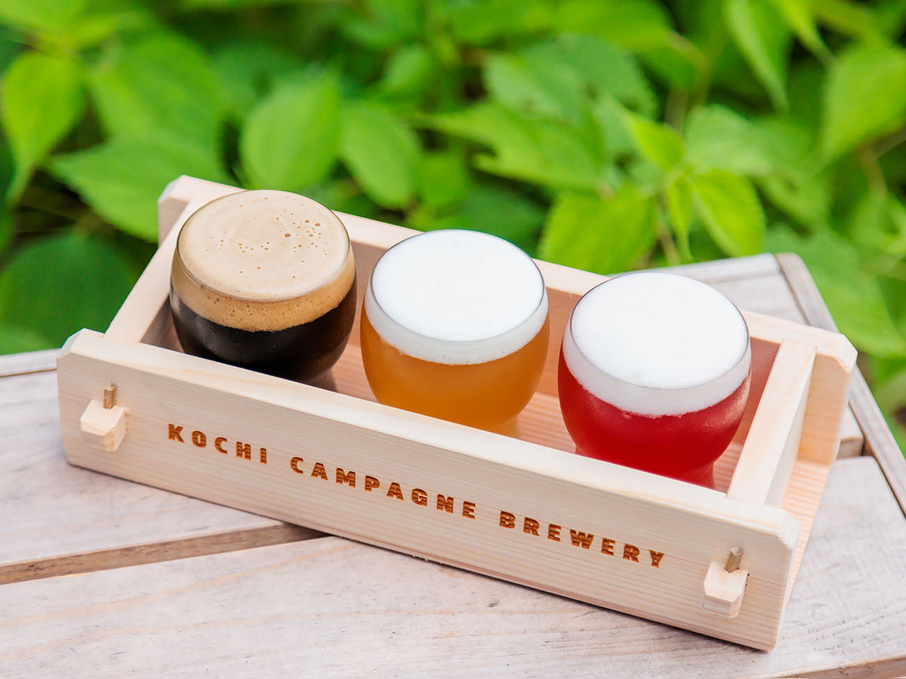 9タップ全制覇セット | TOSACO