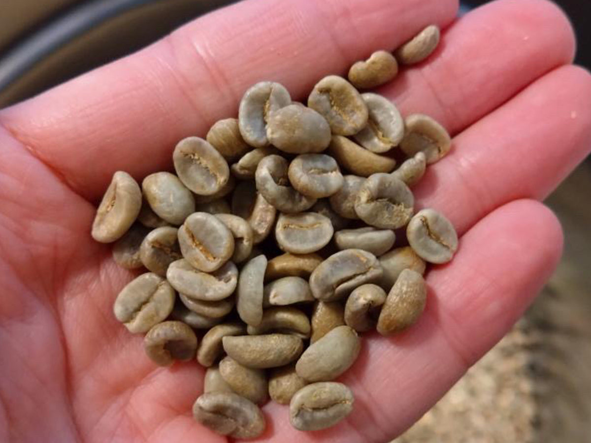 【期間限定】UKIKIコーヒーポーター